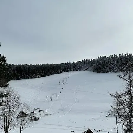 Im Schwarzwald Apartment Schönwalde
